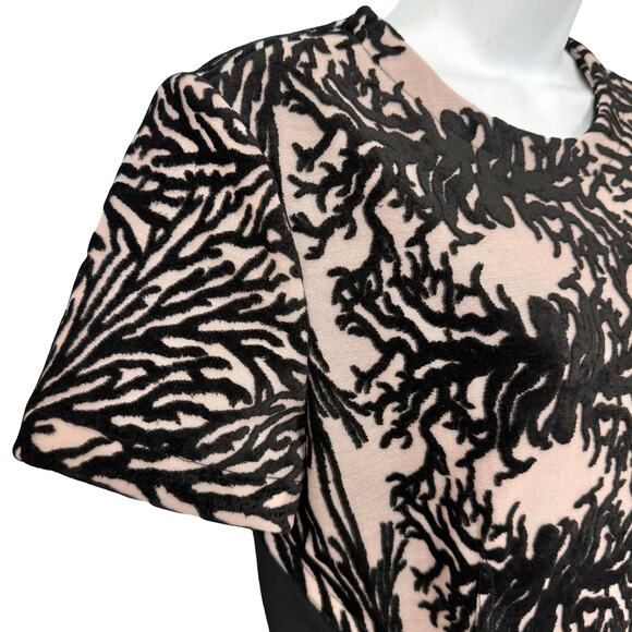 Yigal Azrouel Coral Reef Burnout Black Tan Short Sleeve Sheath Dress size 10 - Picture 9 of 11